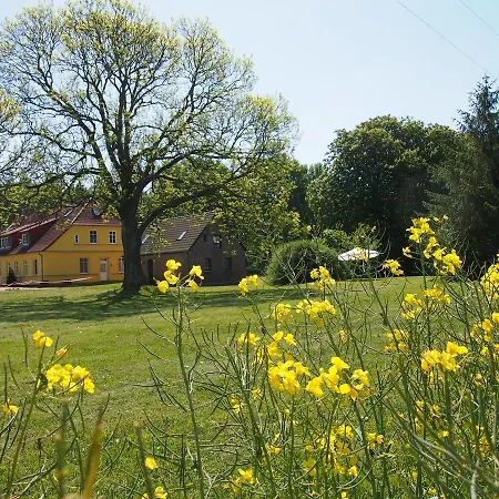 Ferienhaus Gut Rattelvitz Insel Ruegen Gingst Exterior photo