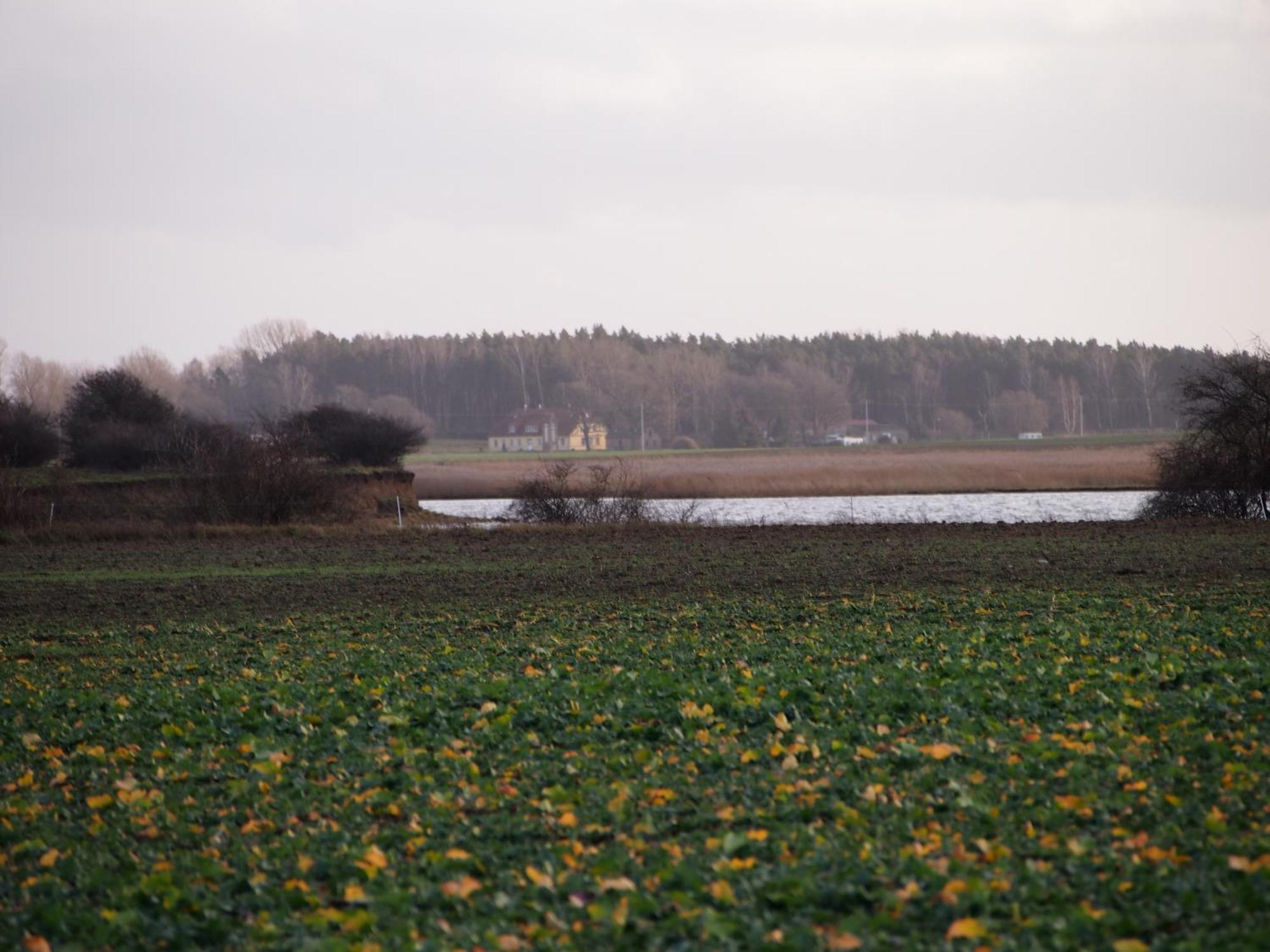 Apartment Gut Rattelvitz Insel Ruegen