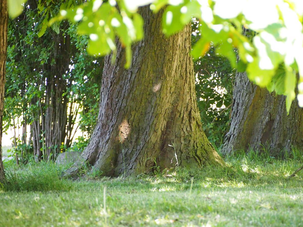 Gut Rattelvitz Insel Ruegen * Gingst