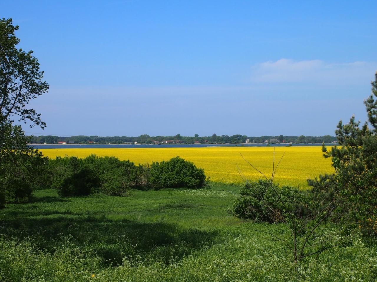 Gut Rattelvitz Insel Ruegen * Gingst