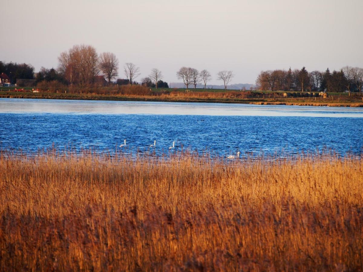 Gut Rattelvitz Insel Ruegen * Gingst