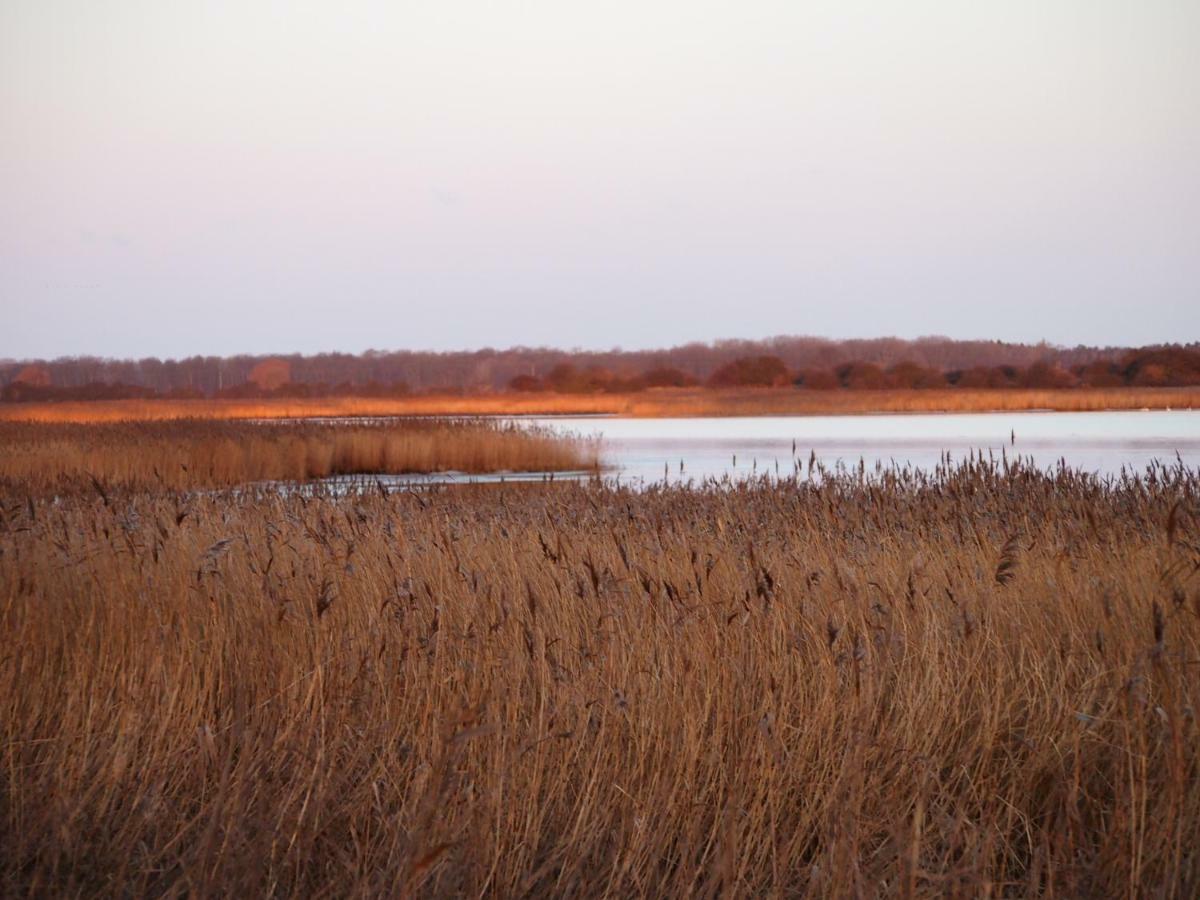 Gut Rattelvitz Insel Ruegen Gingst